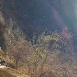 Leider gegen die Sonne, man sieht die "Tränen" aber trotzdem.