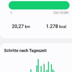 Hab ich es schon erwähnt, wir brauchen Schritte