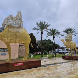 Die Kamele stehen wahrscheinlich nur zur Weihnachtszeit da