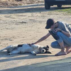 Auch diese Streunerin mag es den Bauch gekrault zu bekommen.