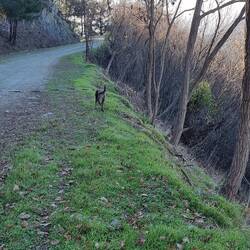 Wie immer schön nah am Abgrund