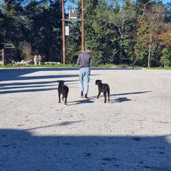 "Du kommst mit uns zum Rudel mit deinem Futter, dass ist ja toll!"