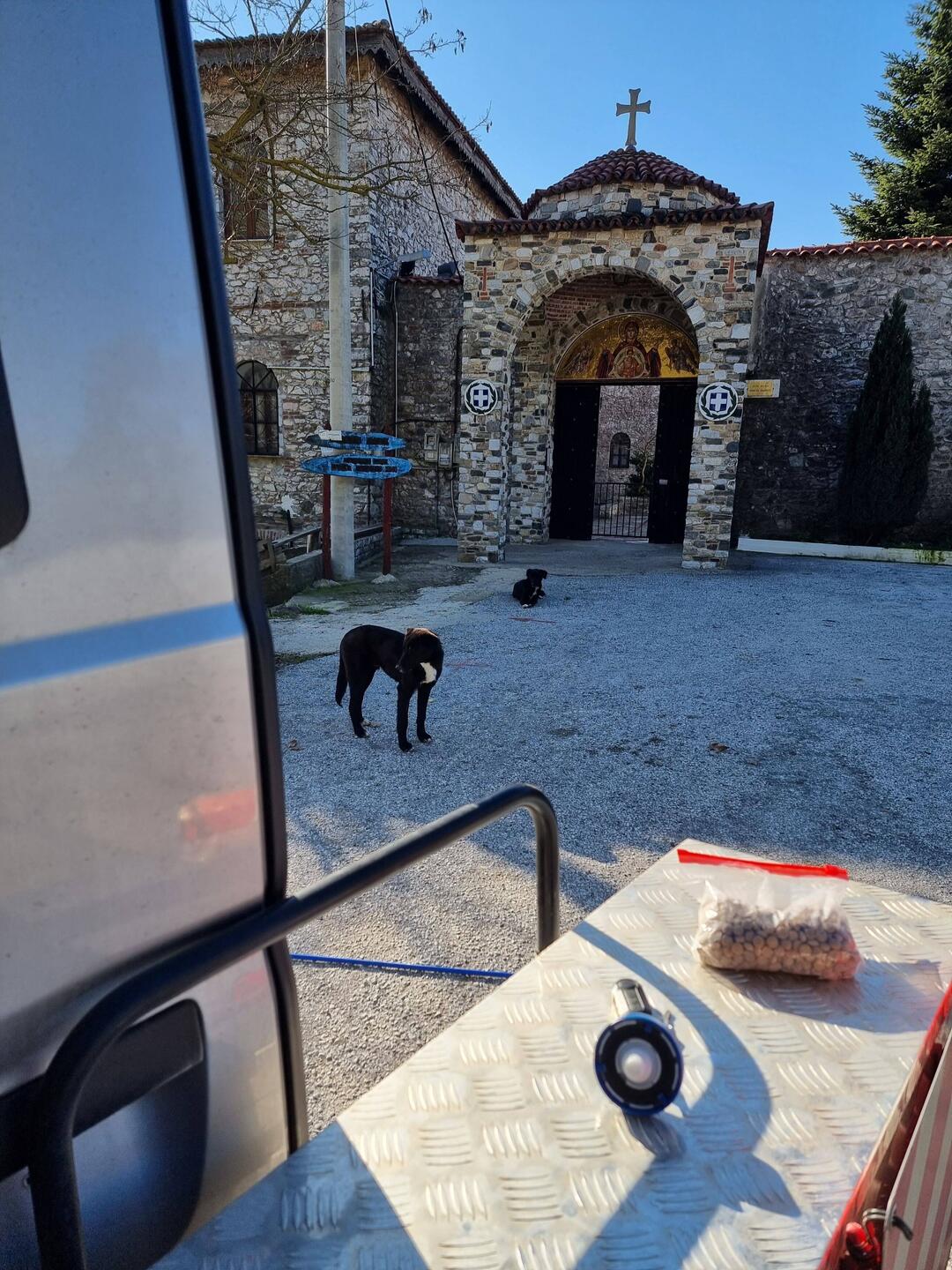 Zuerst noch mit Abstand, aber neugierig.