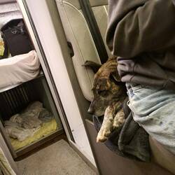 Da muss Anina jetzt halt den Bauch einziehen, wenn jemand so fest schläft.