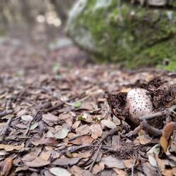 Oh, wer guckt denn hier heraus?