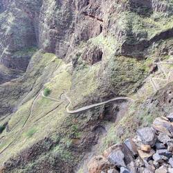 Der Caminho ist auch für Esel geeignet.