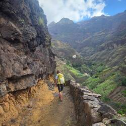 Auf der Zielgeraden.