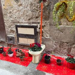 Weihnachtliche Strassenbepflanzung