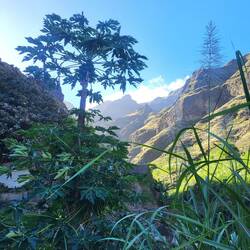 Wir verlassen das extrem abgelegene Dorf Figueiras.