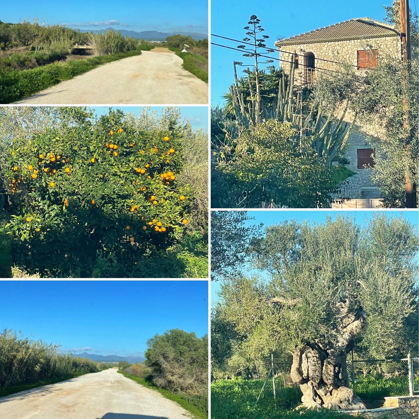 Abfahrt Ochsenbauchbucht..