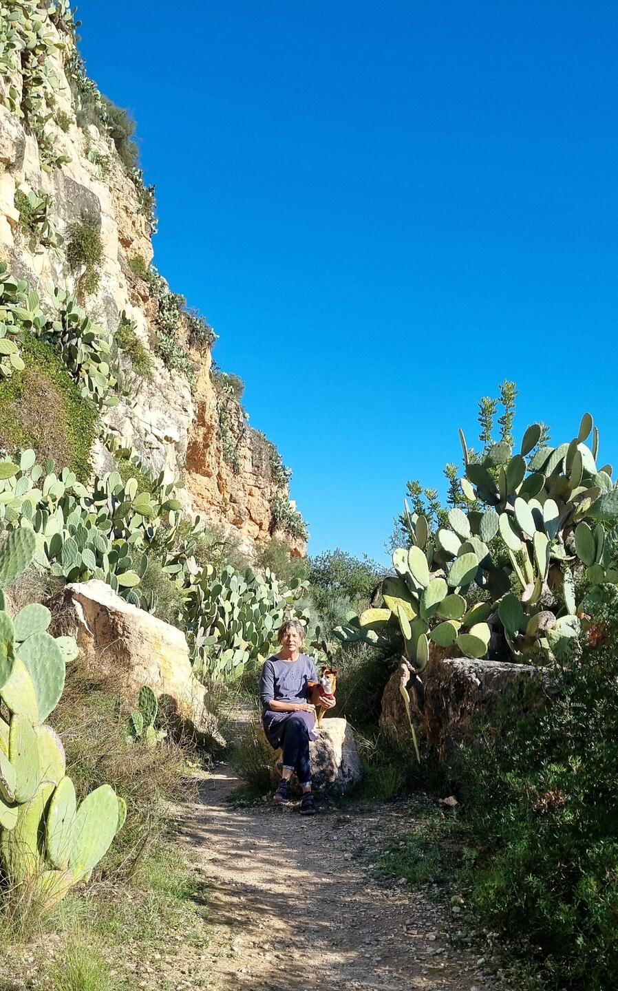 Wanderung bei Miravet