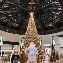 Der stand in der gigantischen Mall mit dem gigantischen Carrefour