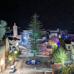 Man könnte meinen es ist ein Weihnachtsbaum