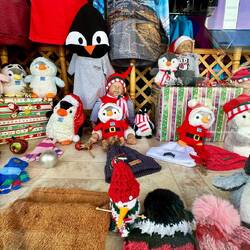 Meine ersten Pinguine