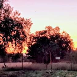 So früh ... und dann noch ne Stunde warten 🫩