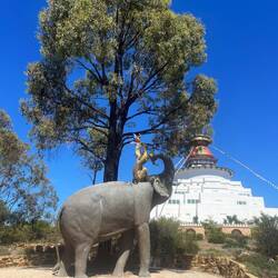 A parable of friendship " The Four Harmonious Friends"