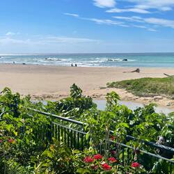 ...an der Ostküste gibt's wohl keine tollen Badestrände