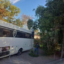 Akkuschere raus - der Ast muss ab