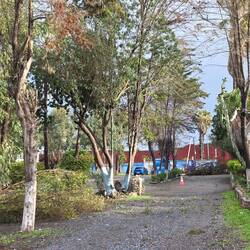 Regen und Sturm, auch auf dem Campingplatz hat es Bäume umgedrückt.