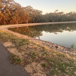 Walk at Sunset 3 - an egret