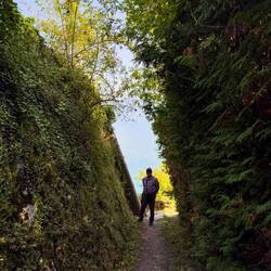 Heading off to explore the vineyards of Lavaux — Saint-Saphorin, Switzerland.