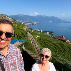 The UNESCO-listed terraced vineyards of Lavaux — Saint-Saphorin, Switzerland.