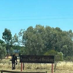 "Pastoral Shadows of Brookong"