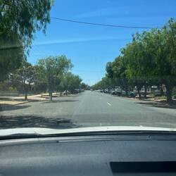 Lockhart is really pretty. Tree lined streets in the raging heat.