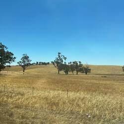 It's dry out here and the land looks like suede