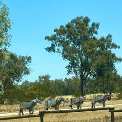 Shadow horses of Brookong