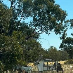 Tin horse and wagon carrying people