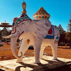 Der Elefant steht im Buddhismus für geistige Stärke, Weisheit und einen gezähmten Geist.