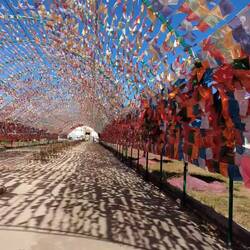 Zeltartige Anordnung von Gebetsfahnen. Der Wind trägt die Gebete in alle Richtungen.