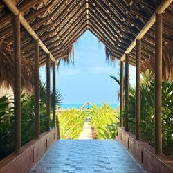 Welcome to paradise!