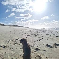 Strand Spaziergang die 2.