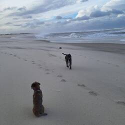 Ui, der Sand fliegt waagerecht