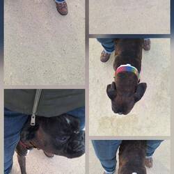 Sand aus den Augen reiben, nicht förderlich bei Gegenwind im Sandkastensand