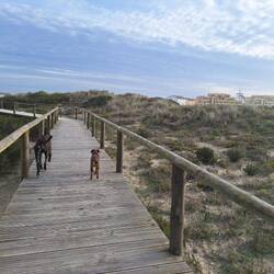 Auf zum Strand erkunden - vorher himmlische 🍉 vom Straßenrand