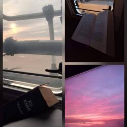 Frauchen ist körperlich nicht gut drauf - perfekter Sonnenuntergang aus dem Heckfenster