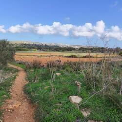 Landwirtschaft findet hier im Südwesten der Insel statt
