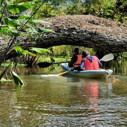 Wir waren froh um unseren Guide, er hatte Adleraugen. Was der alles an Tieren gesehen hat 👍