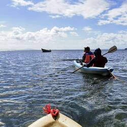 Der Nicaragua See ist 15x größer als der Bodensee. Es soll Bullenhaie geben