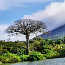 Die Natur ist schon beeindruckend