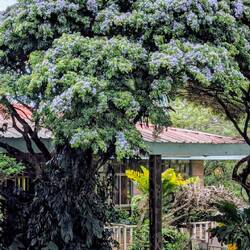 Eintritt bezahlen und los geht's