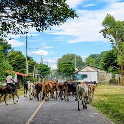 Und schon geht's wieder zurück zum Campingplatz