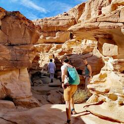 The start looks so easy.....