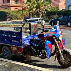 Oft im Straßenverkehr unterwegs