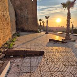 Cañones tirados por el suelo