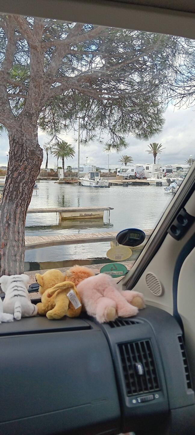 Unser Blick vom Stellplatz