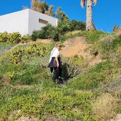 Sie war erfolglos, also alles ganz legal